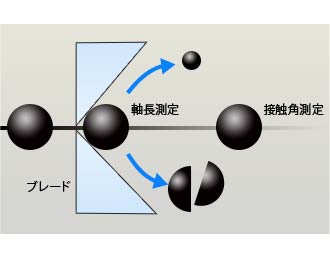サンプル画像